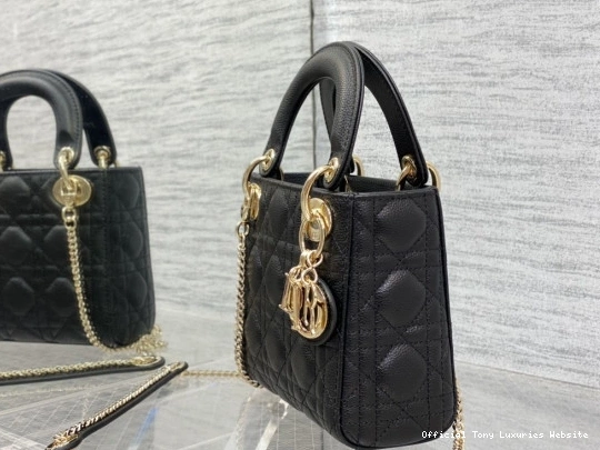 Tony Luxuries diro Calfskin Mini Lady 0722